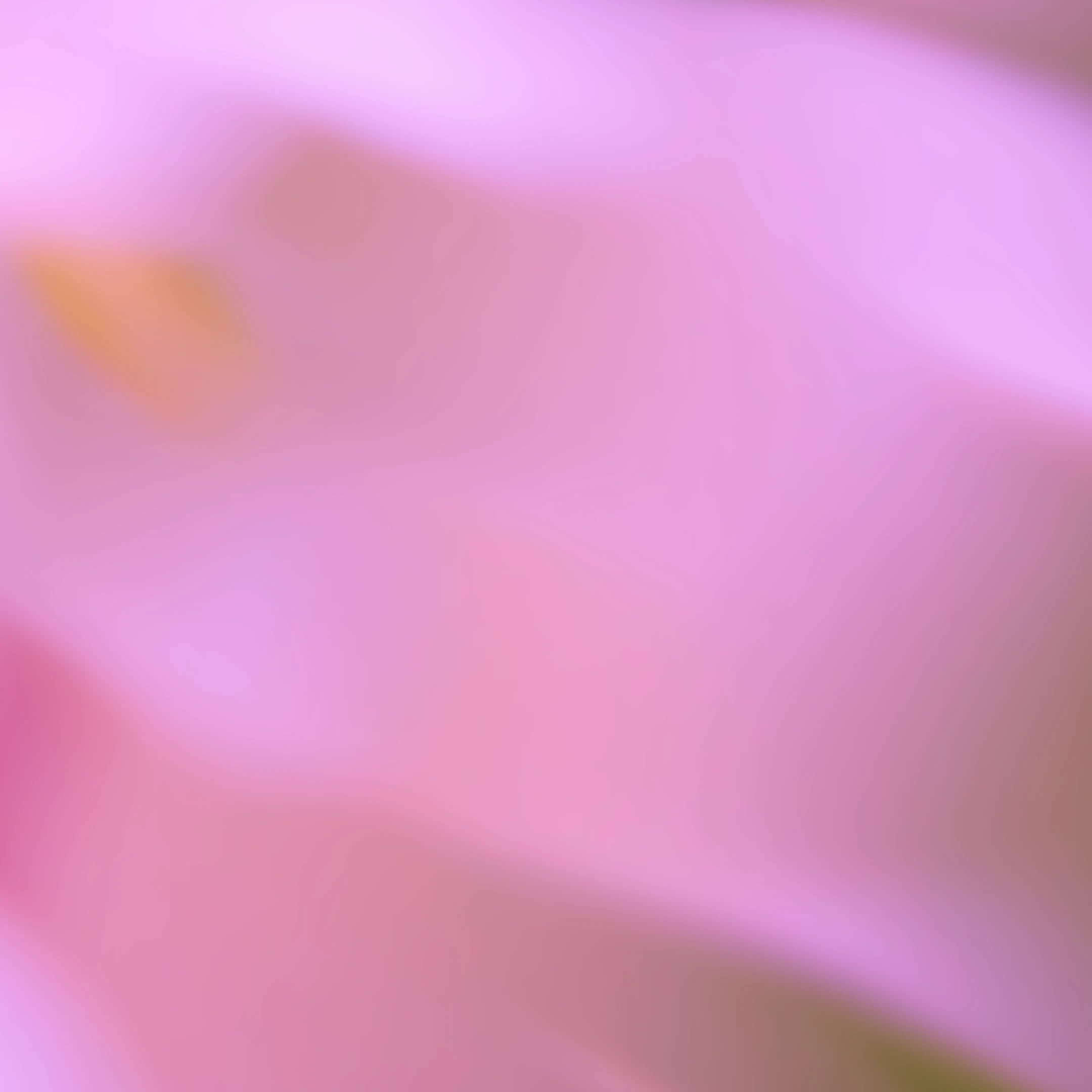 The Science Behind Inbox Zero and Productivity